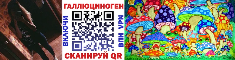 Псилоцибиновые грибы Psilocybine cubensis  закладки  Пласт 